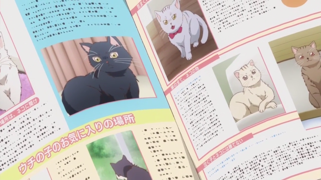 Домашний питомец, иногда сидящий на моей голове — скриншот 27