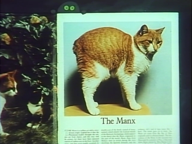 Легенда о Мэнкхмаусе — скриншот 54