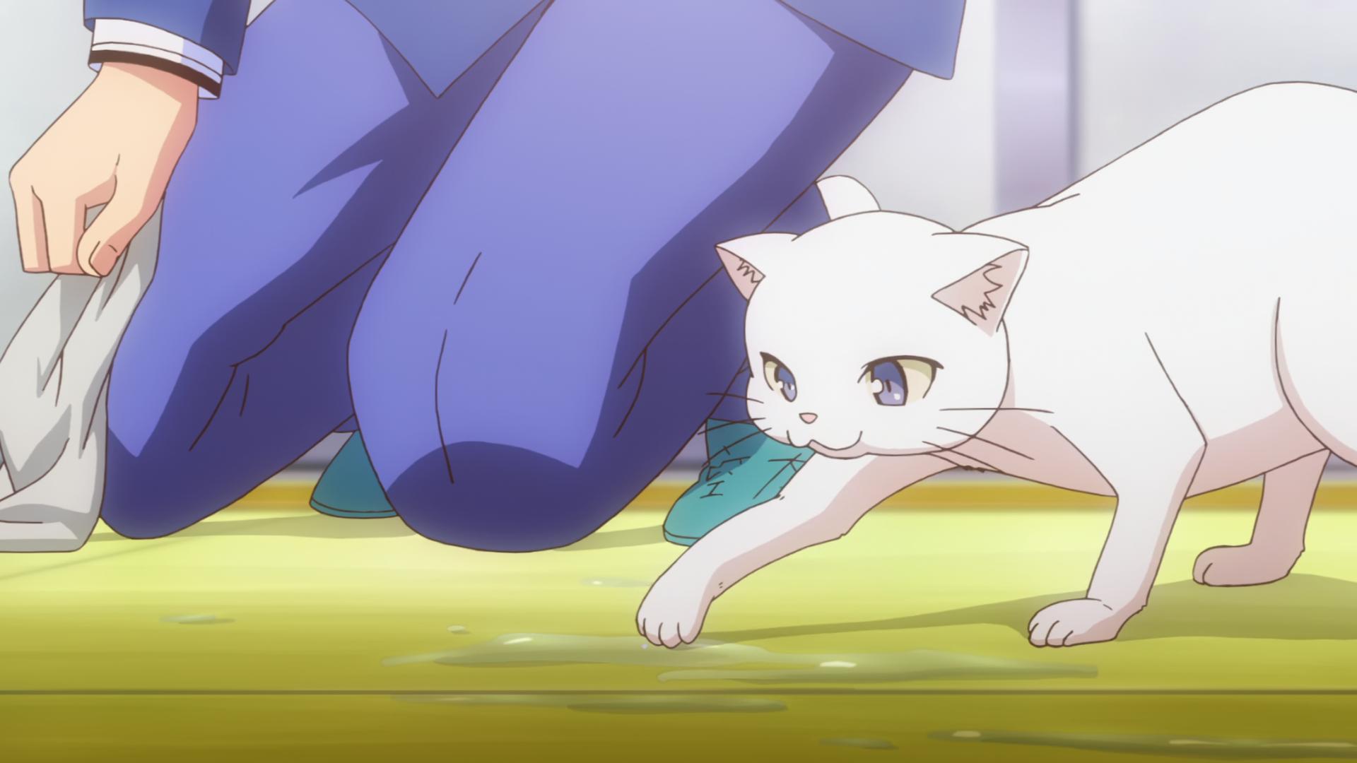 Кошечка из Сакурасо — скриншот 37