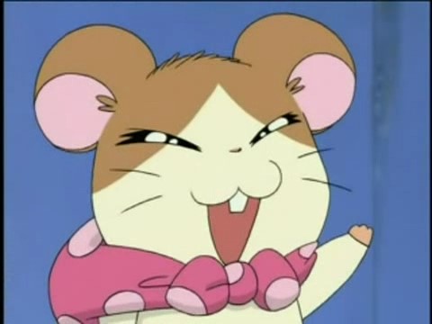 Хамтаро OVA 2 — скриншот 28