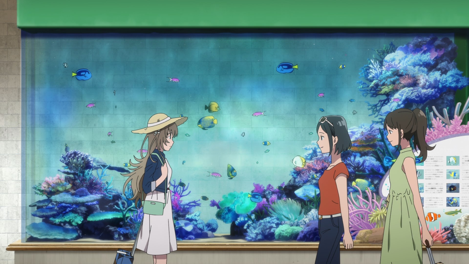 Акватоп белого песка — скриншот 14