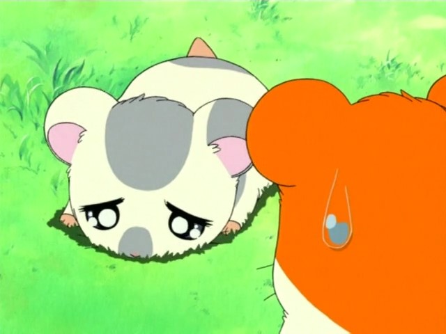 Хамтаро — скриншот 22