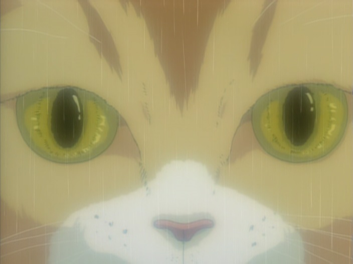 Геоблюстители — скриншот 9