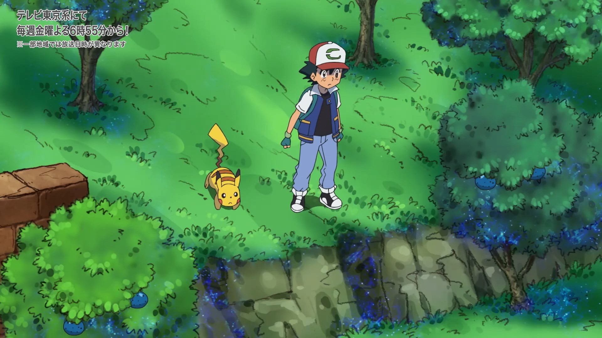 Покемон: Далёкое синее небо — скриншот 28