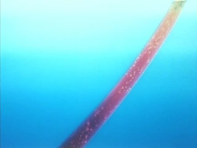 Охотники за чародеями — скриншот 41