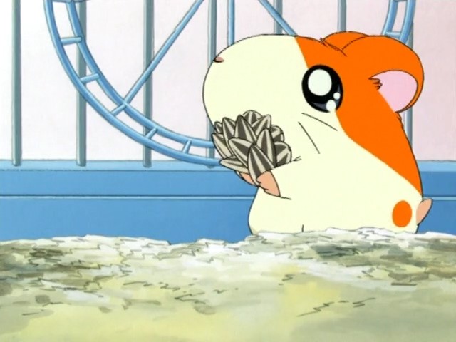 Хамтаро — скриншот 10