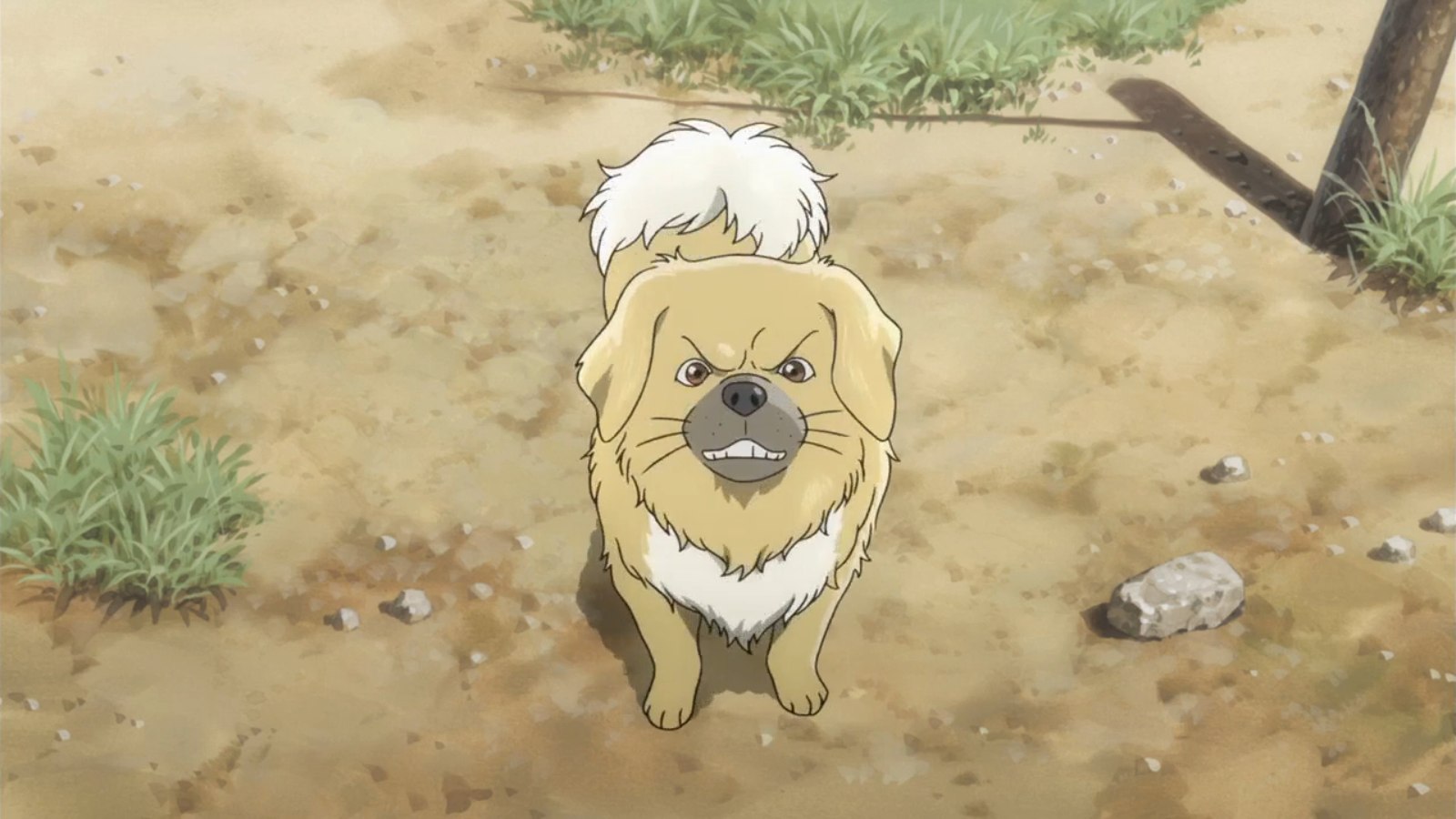 Тибетский пёс — скриншот 6