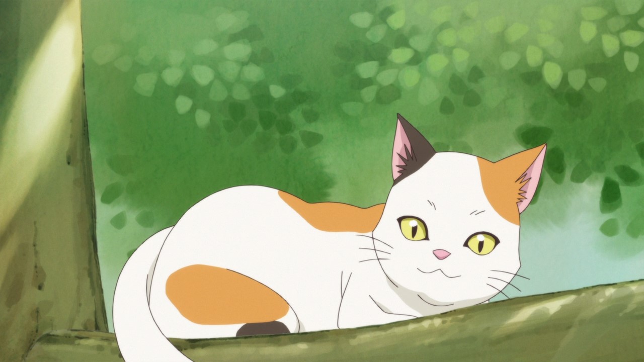 Хорошенькое лекарство: Девочки-волшебницы — скриншот 24