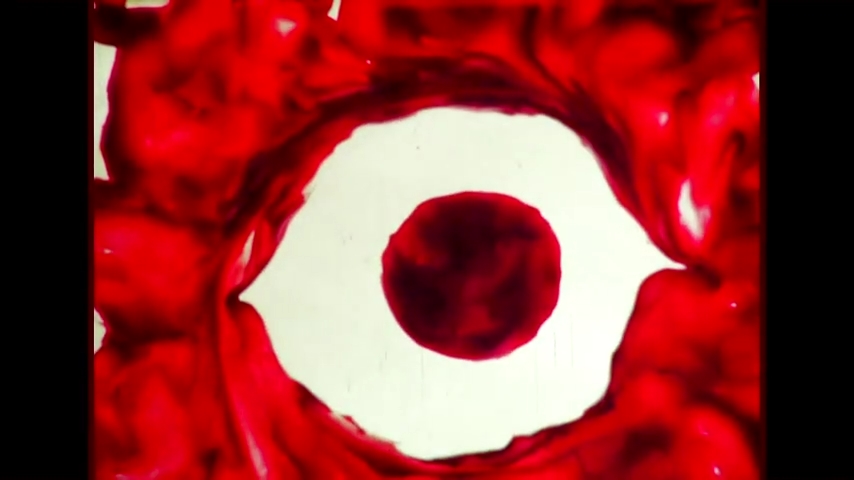 Естественная история — скриншот 18