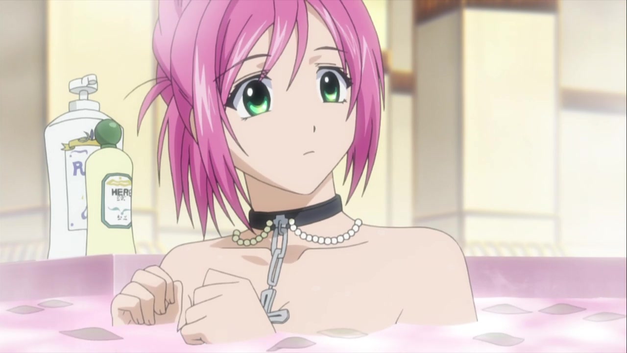 Розарио + Вампир 2 — скриншот 10