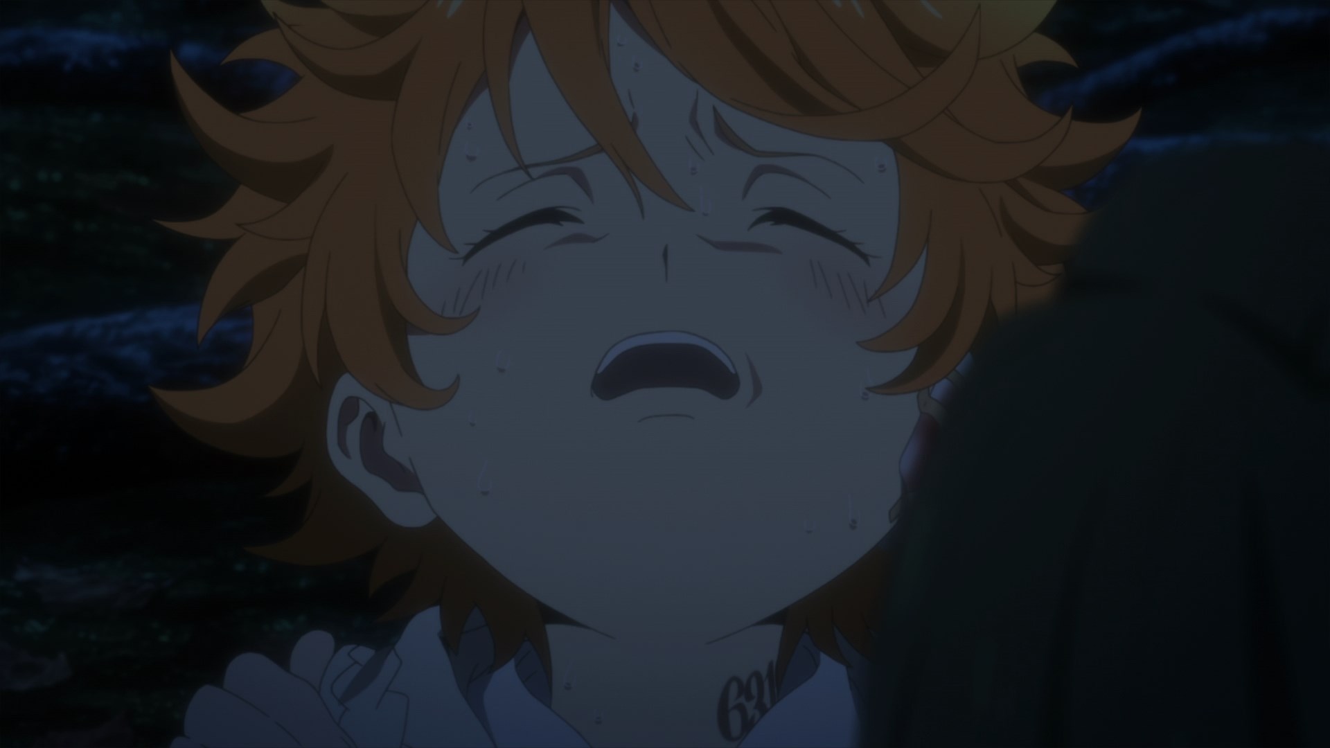 Обещанный Неверленд 2 — скриншот 25