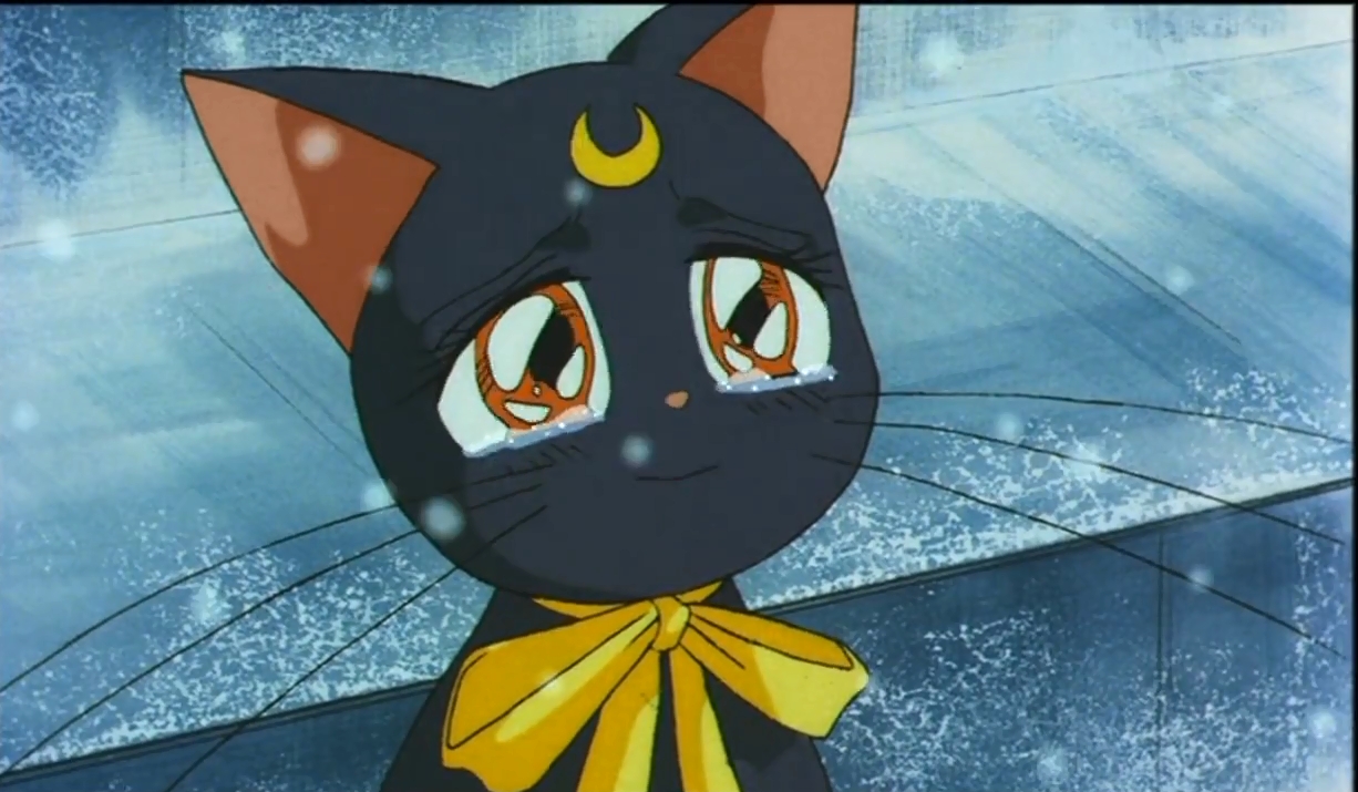 Красавица-воин Сейлор Мун Эс: Возлюбленный принцессы Кагуи — скриншот 42