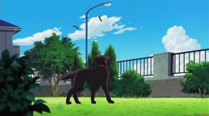 Велосипед Таканэ — скриншот 16