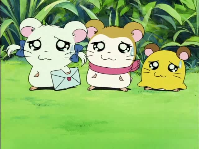 Хамтаро OVA — скриншот 21
