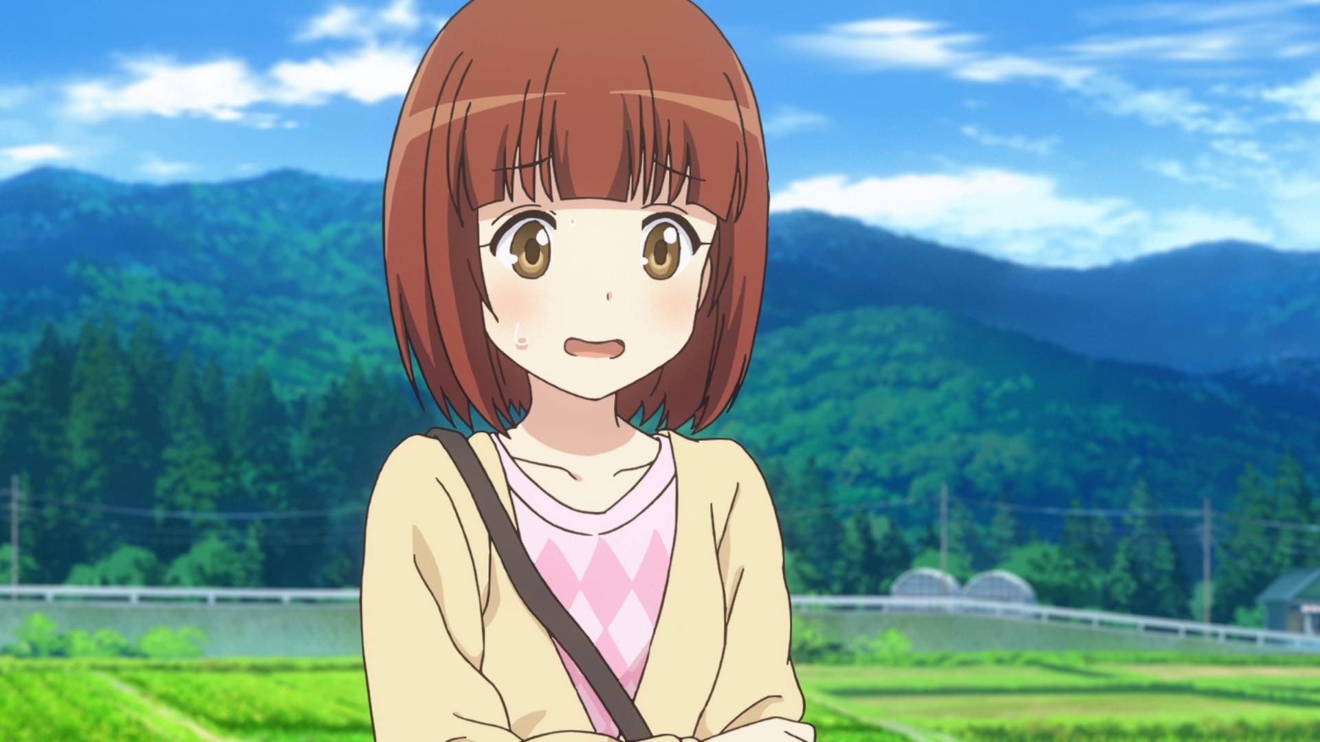 Деревенская глубинка 3 — скриншот 23