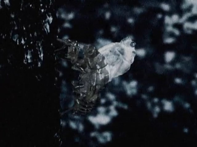 Крутой парень! — скриншот 24