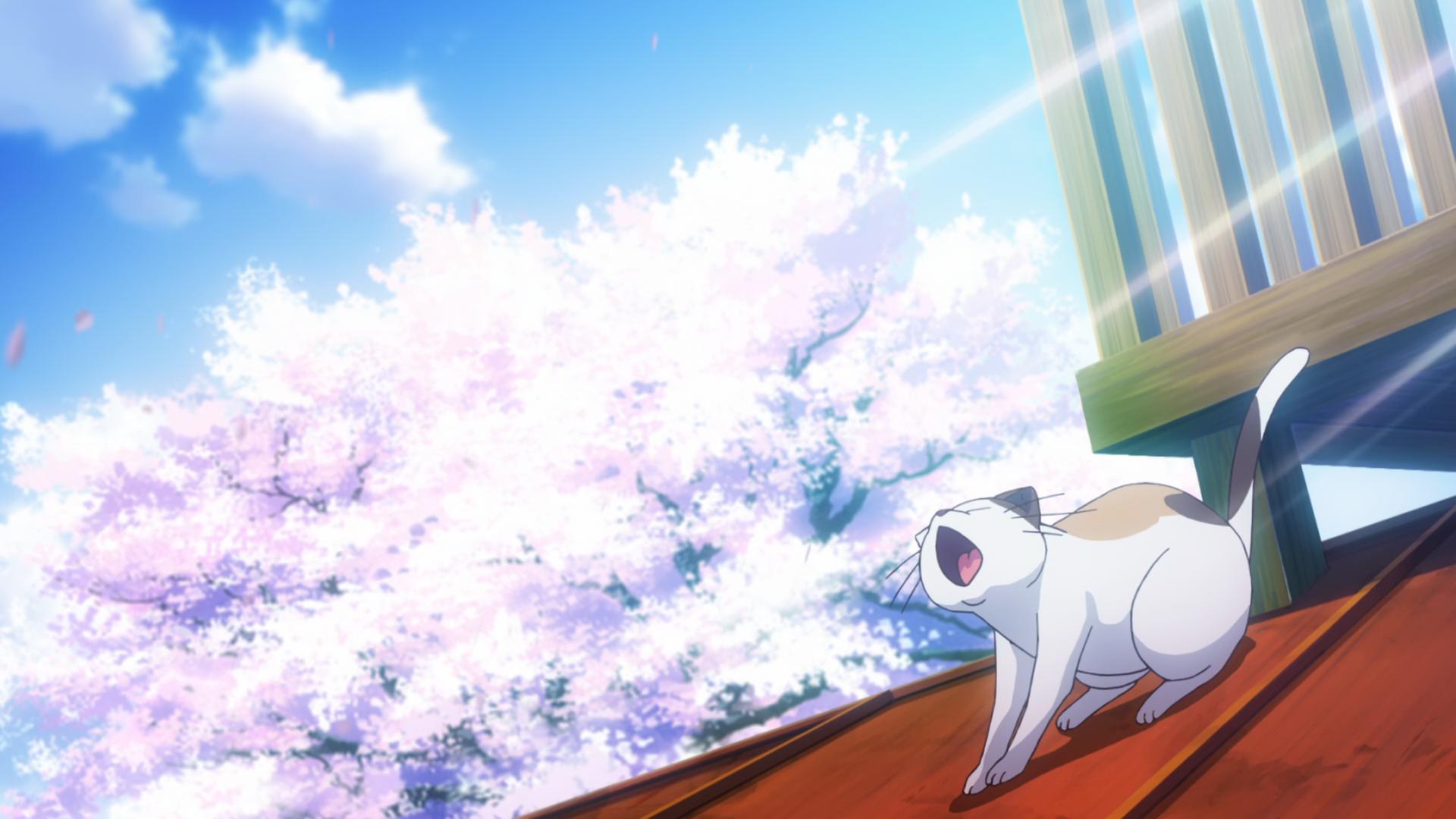 Кошечка из Сакурасо — скриншот 28