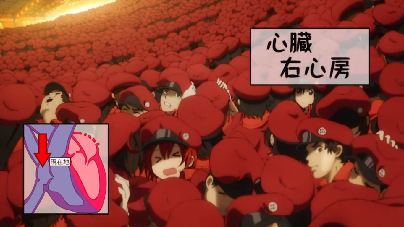 Клетки за работой: Реклама — скриншот 14