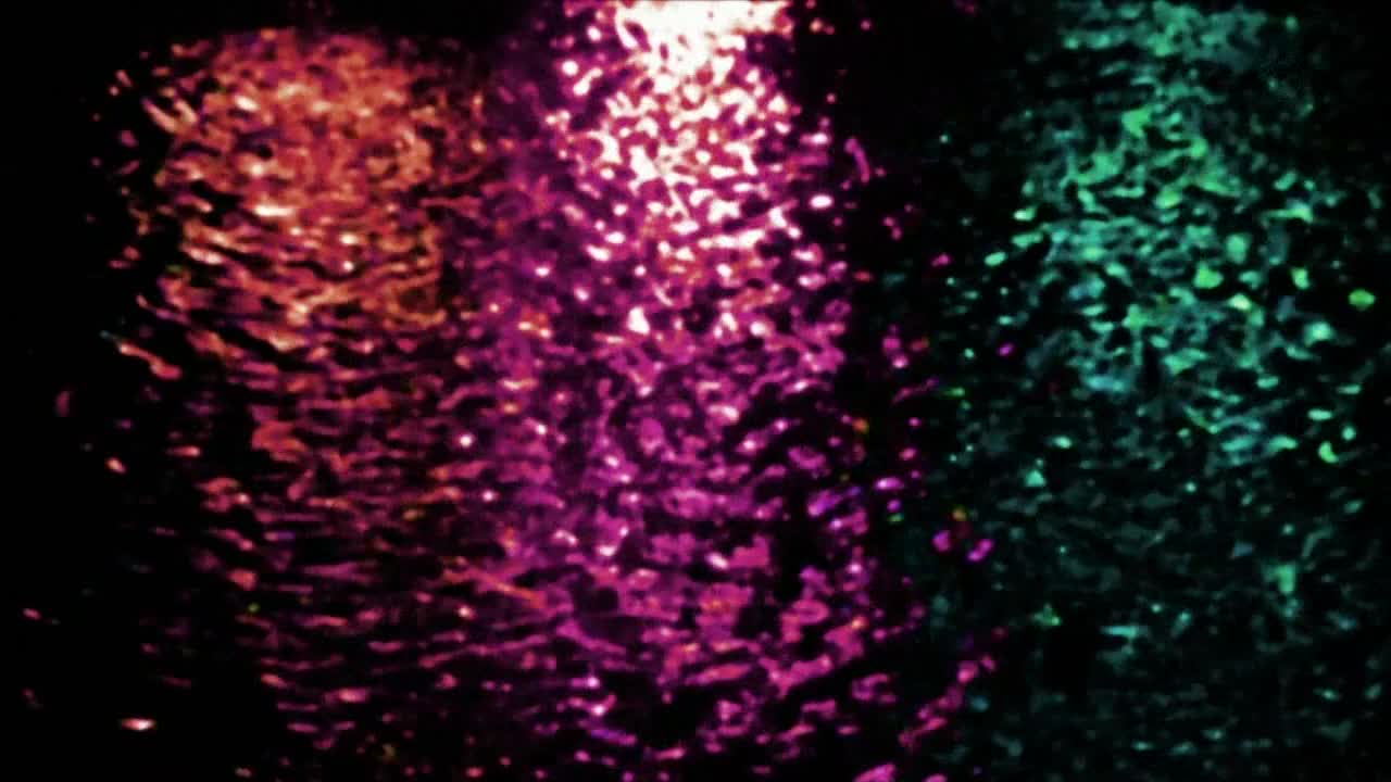 Сказ о четырёх с половиной татами — скриншот 14