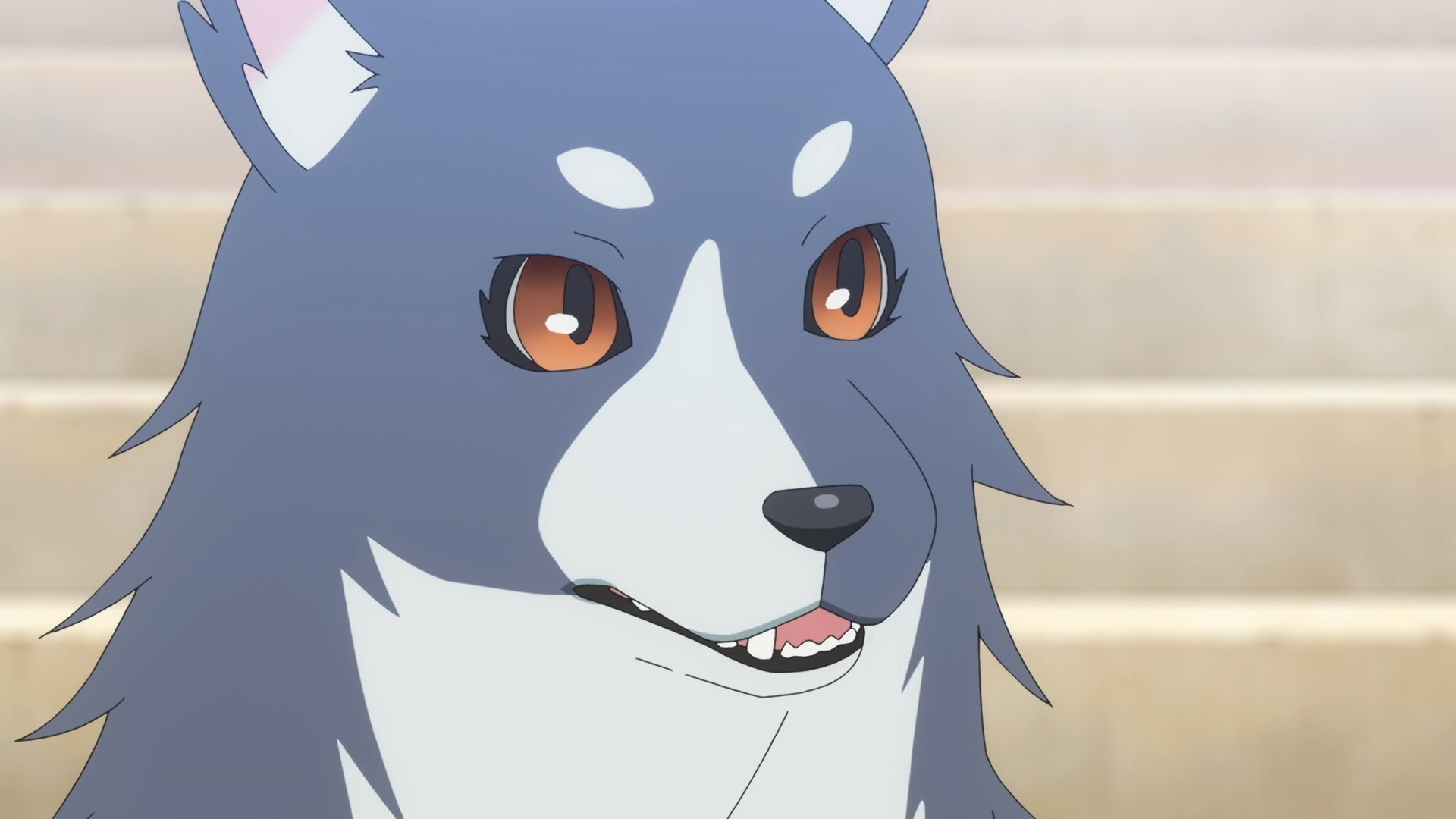 Йохане из паргелия: Солнечный свет в зеркале — скриншот 18