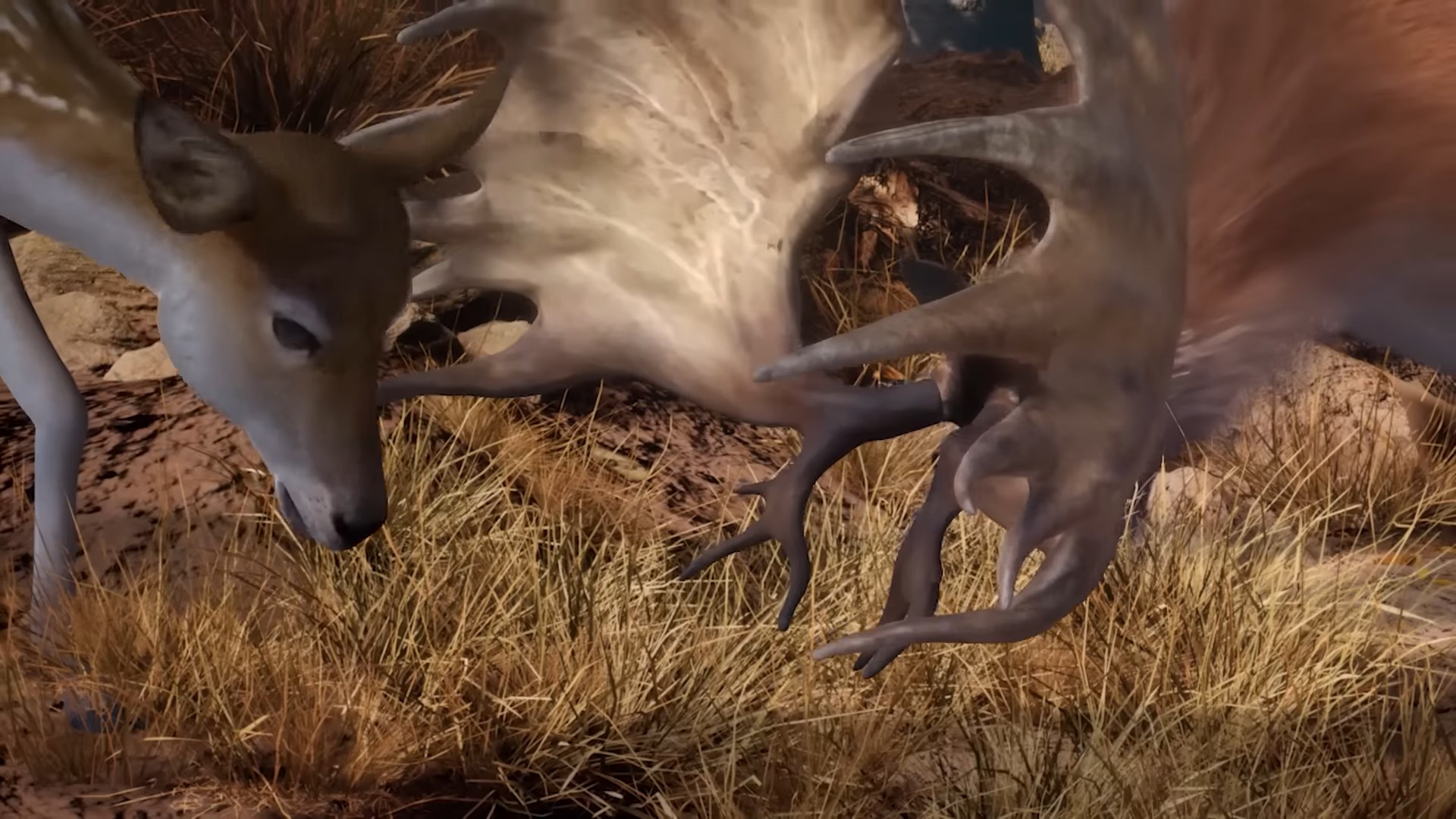 Ловцы звёзд: Истоки — скриншот 29