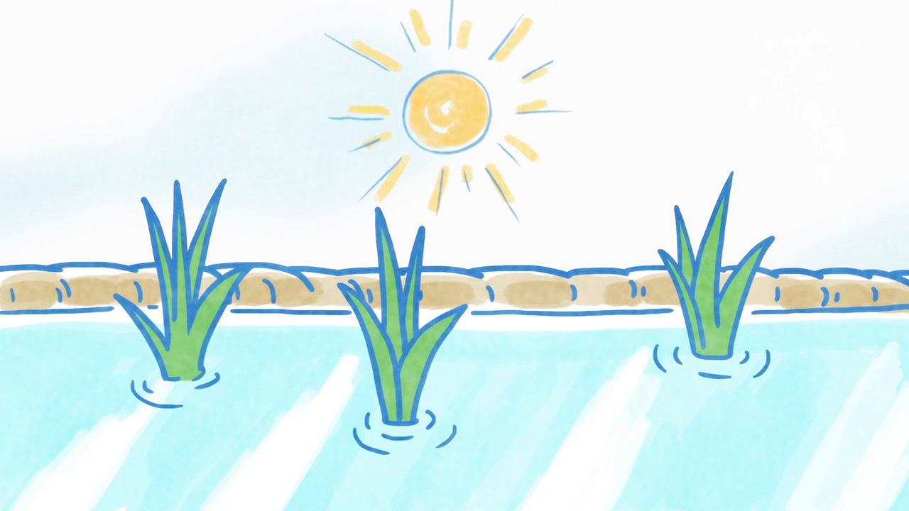 Кошачья японская история  2 — скриншот 12