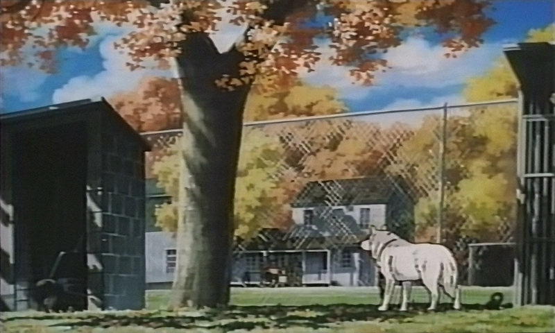 Беги, Белый Волк! — скриншот 8