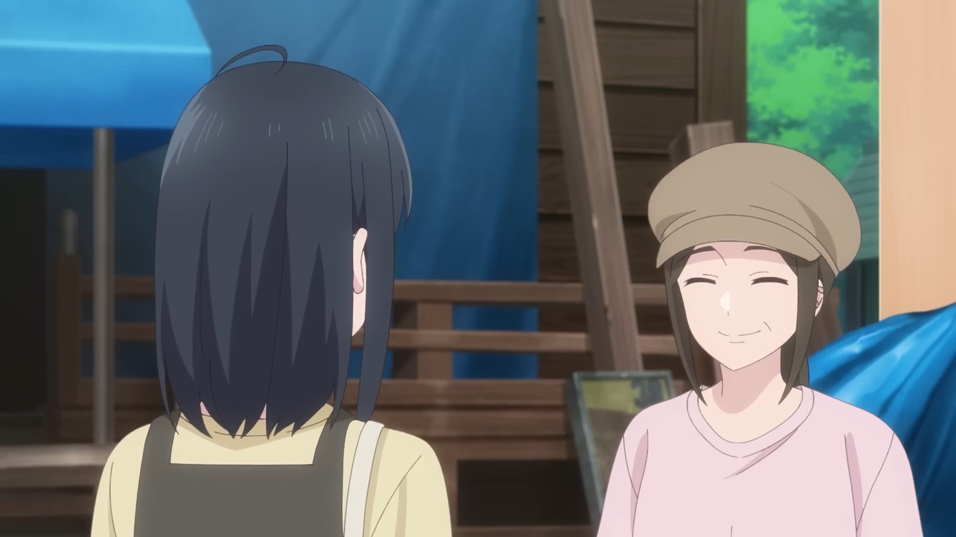 Проект поддержки восстановления полуострова Ното — скриншот 5