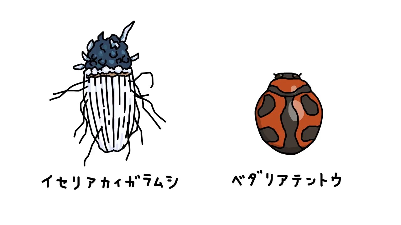 Квест Понкоцу x Монстр — скриншот 7