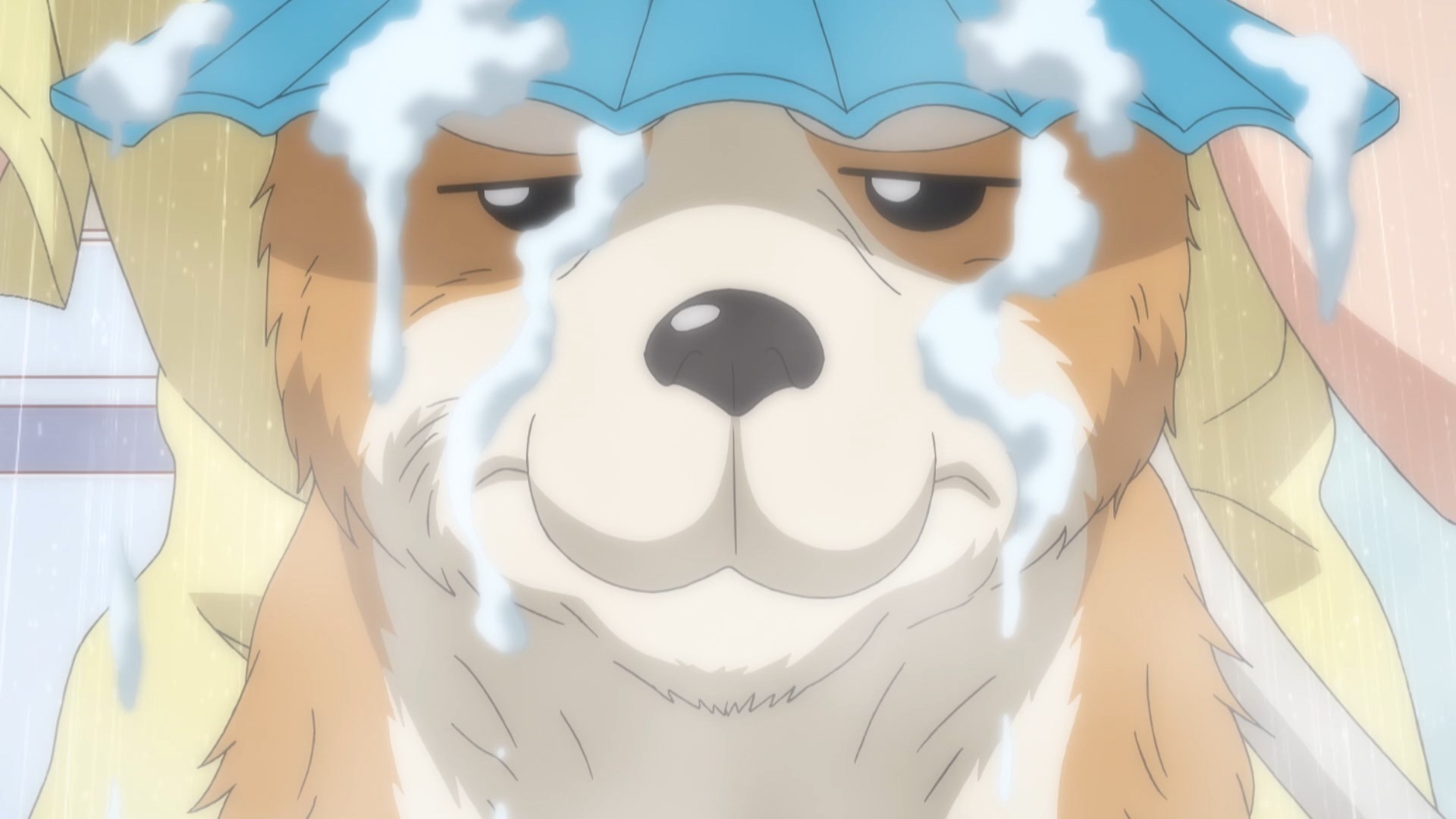 Ода «Корица» Нобунага — скриншот 34