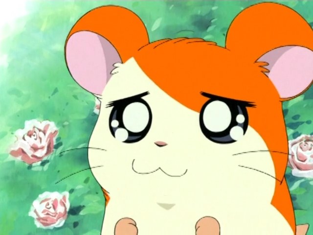 Хамтаро — скриншот 21