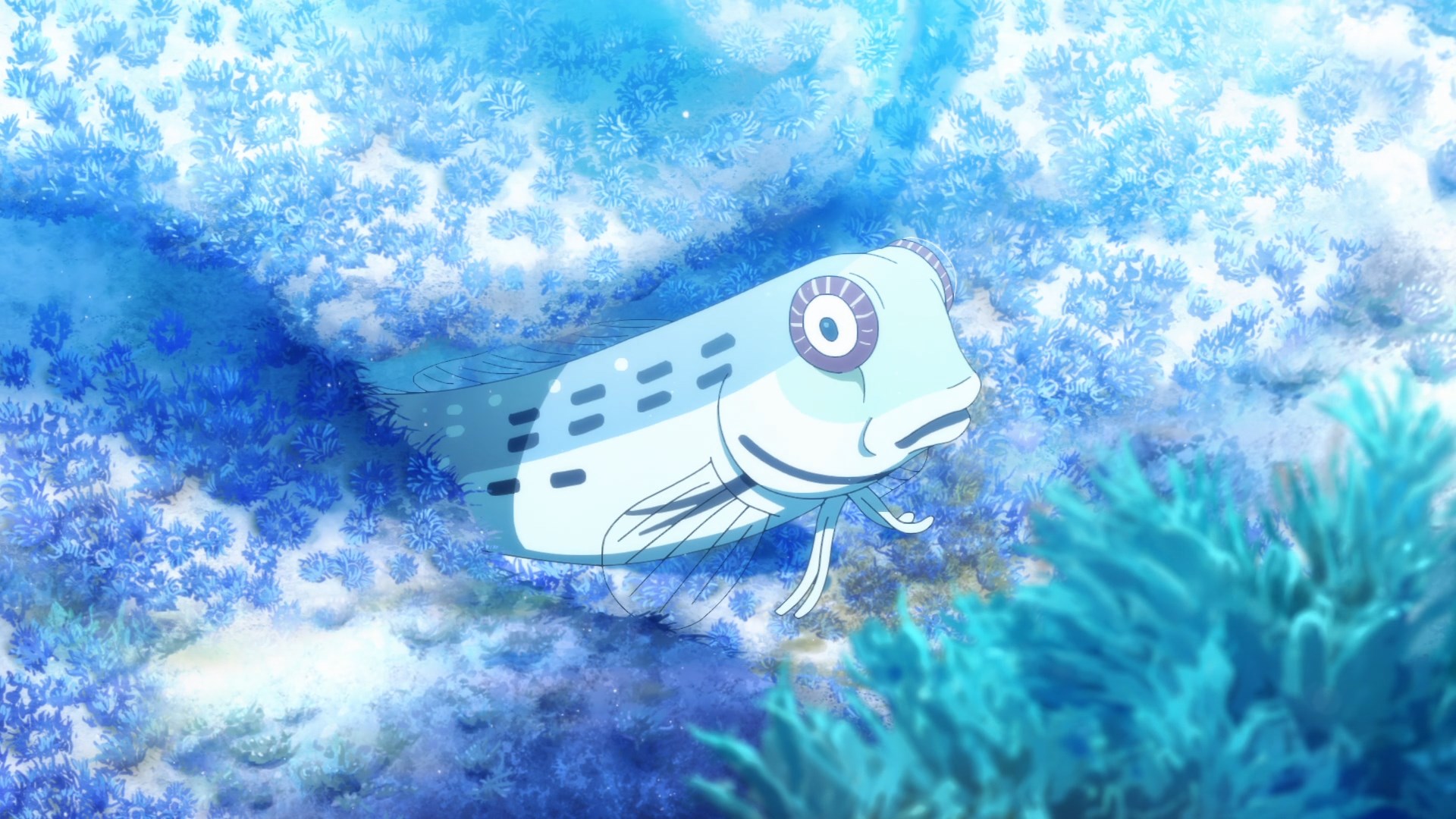 Акватоп белого песка — скриншот 30