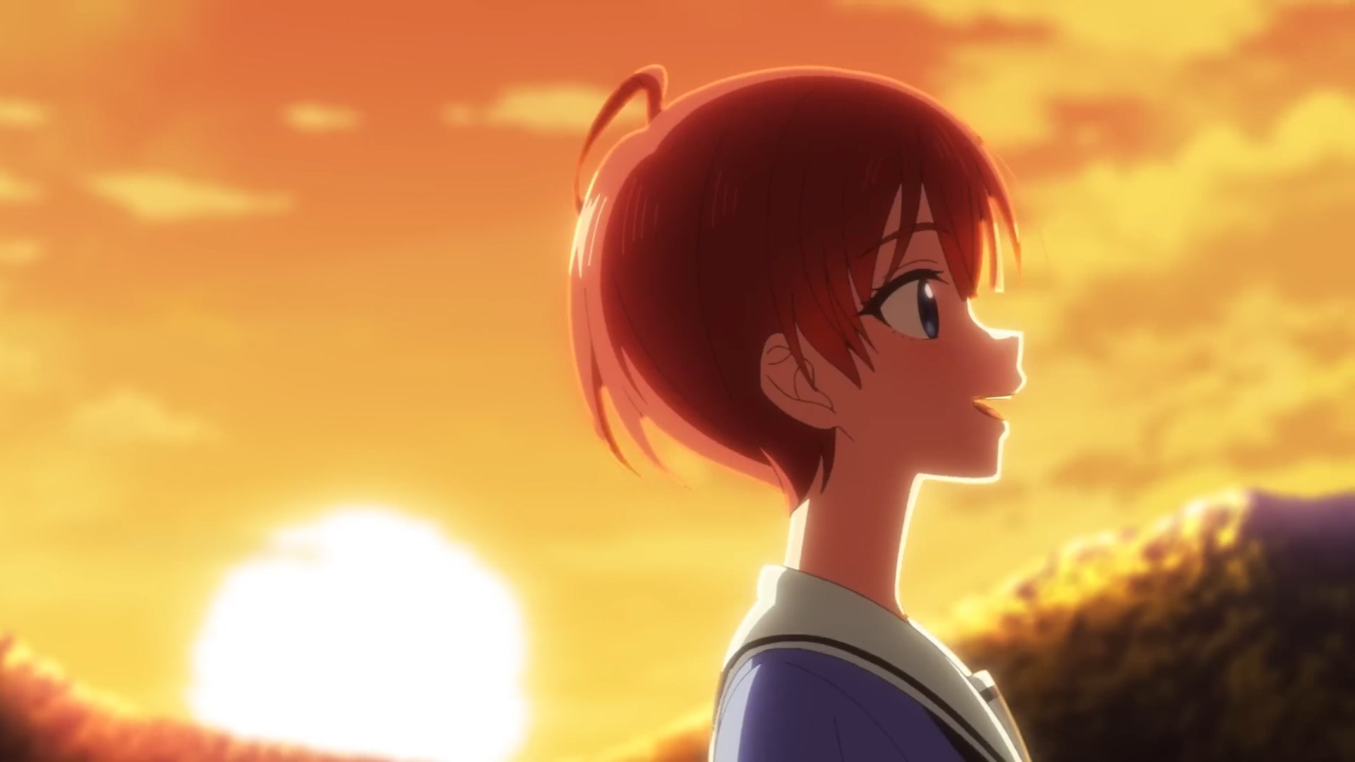 Проект поддержки восстановления полуострова Ното — скриншот 23