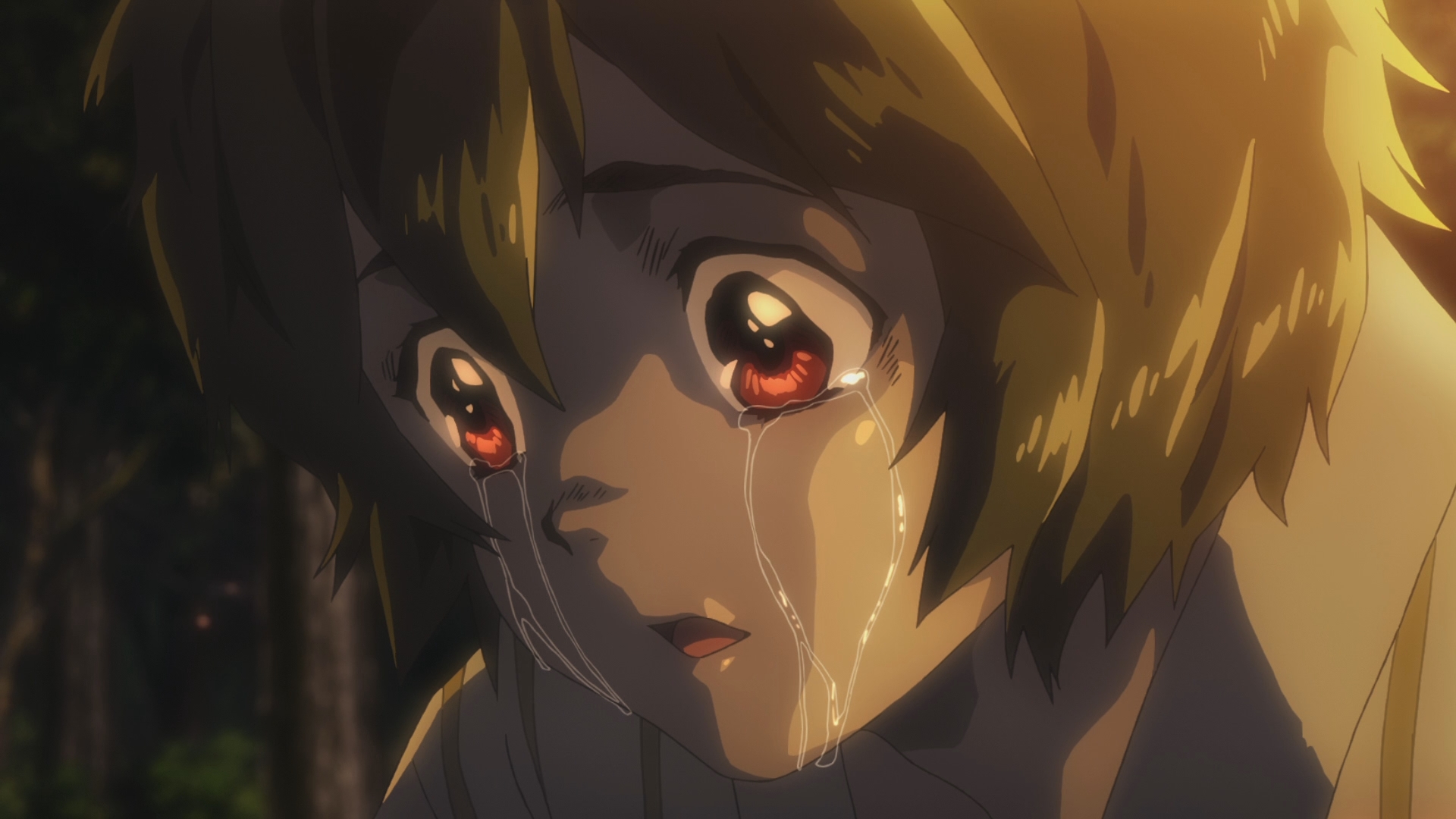 Кабанэри железной крепости 1: Собирая свет — скриншот 32