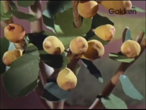 Кадр 3