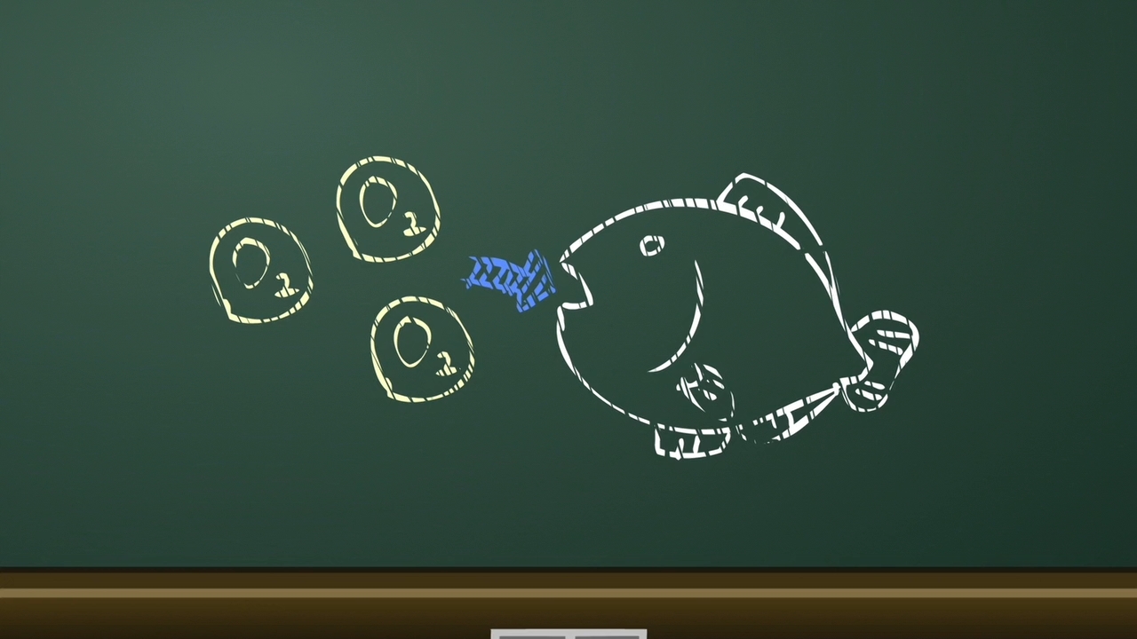 Девушки на последнем году обучения — скриншот 8