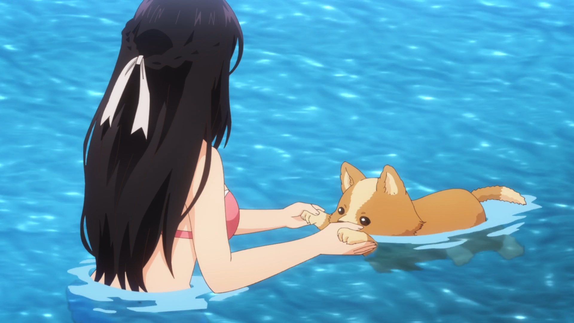 Стать любимой собачкой: Спецвыпуски — скриншот 20