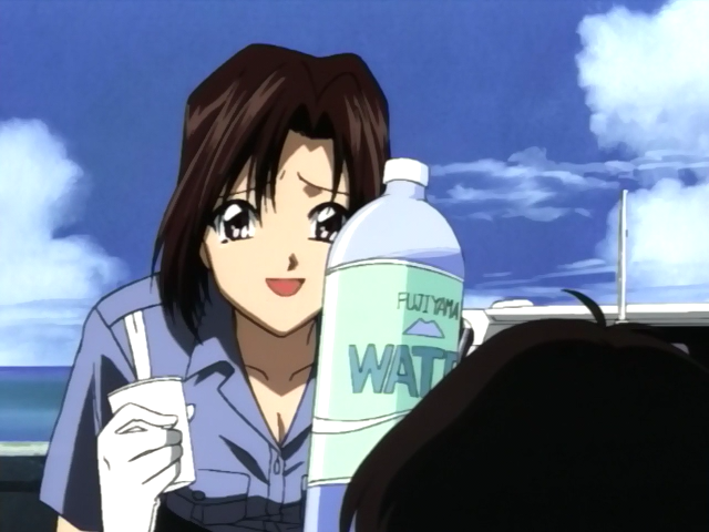 Вы арестованы! Занятный трафик на пляже — скриншот 11