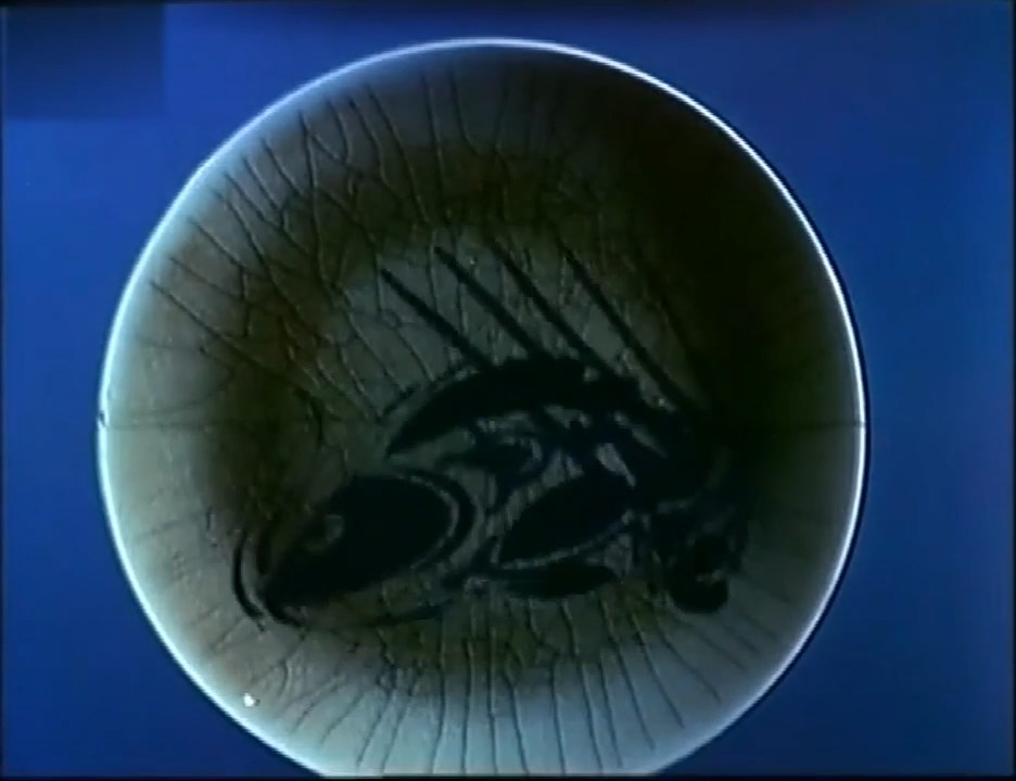 Рыба — скриншот 13