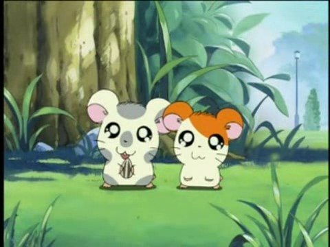 Хамтаро OVA 2 — скриншот 14