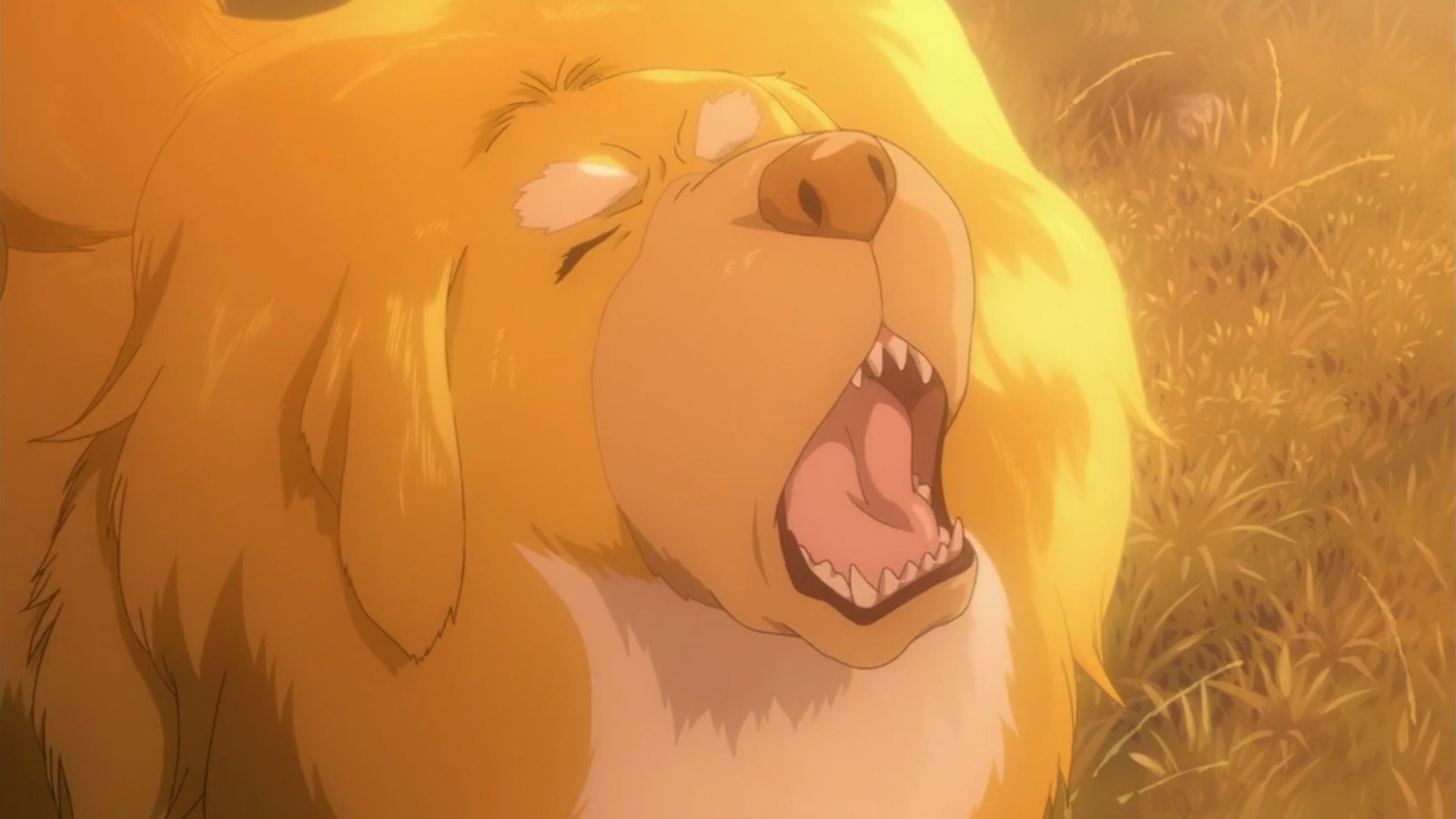 Тибетский пёс — скриншот 35