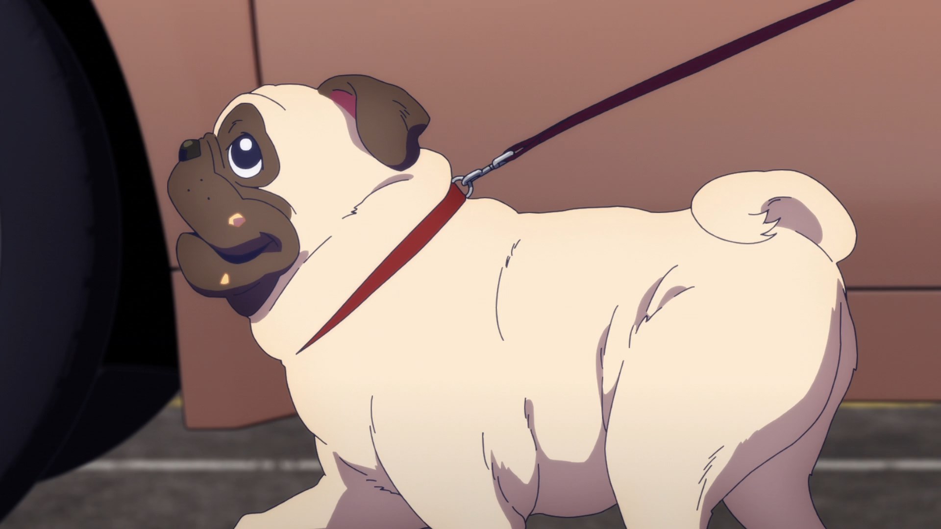 Старшая карта — скриншот 5