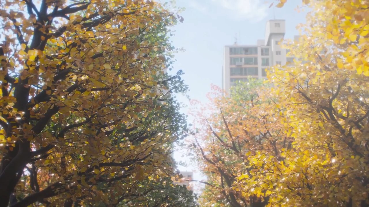 Конфета — скриншот 14