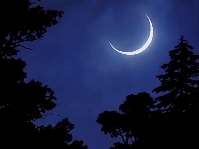 Отогидзоси — скриншот 7