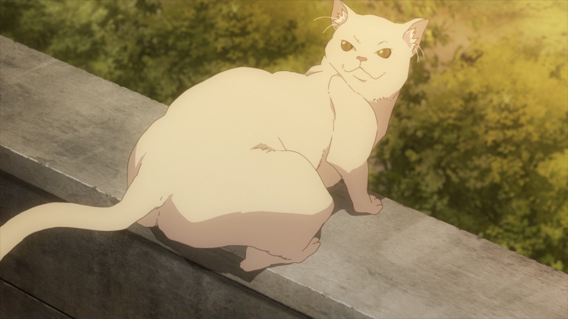 Время ниндзя — скриншот 15