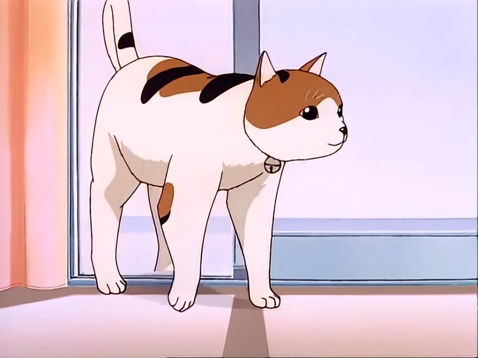 Пожалуйста, спасите мою Землю! Рину от Алисы — скриншот 8