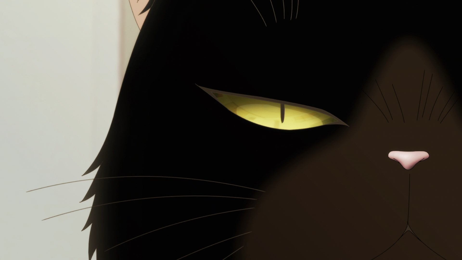 Кот, мастер на все лапки, сегодня снова грустит — скриншот 28