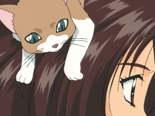 Вы арестованы! Специальное издание — скриншот 30