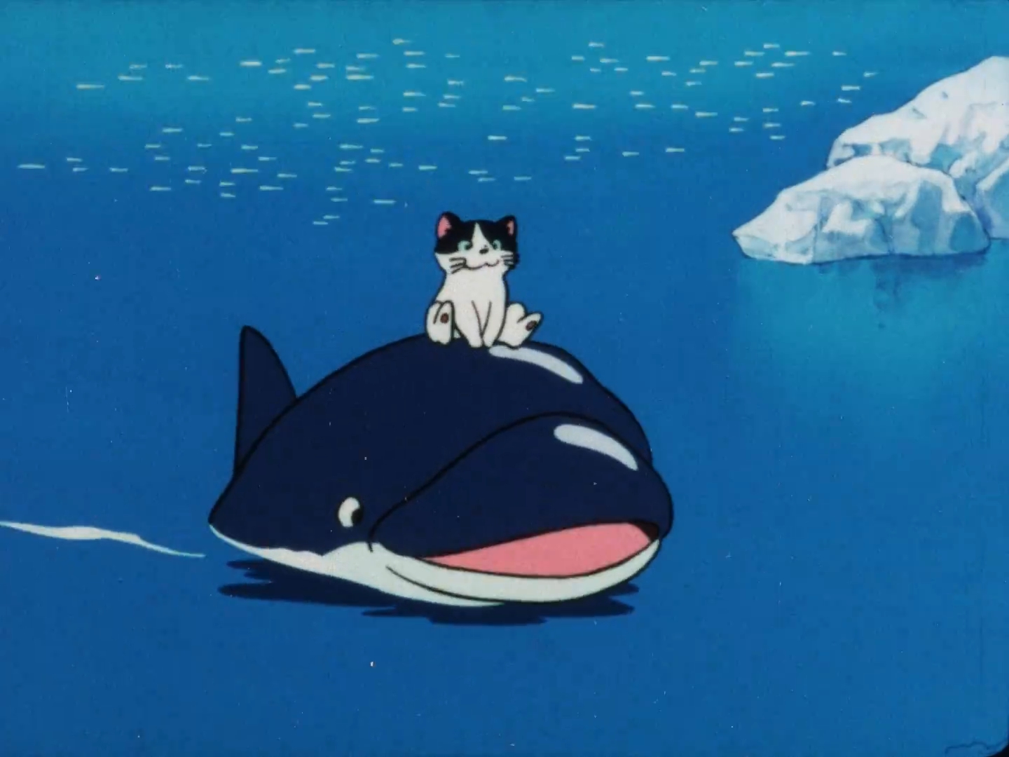 Морской котик — скриншот 18