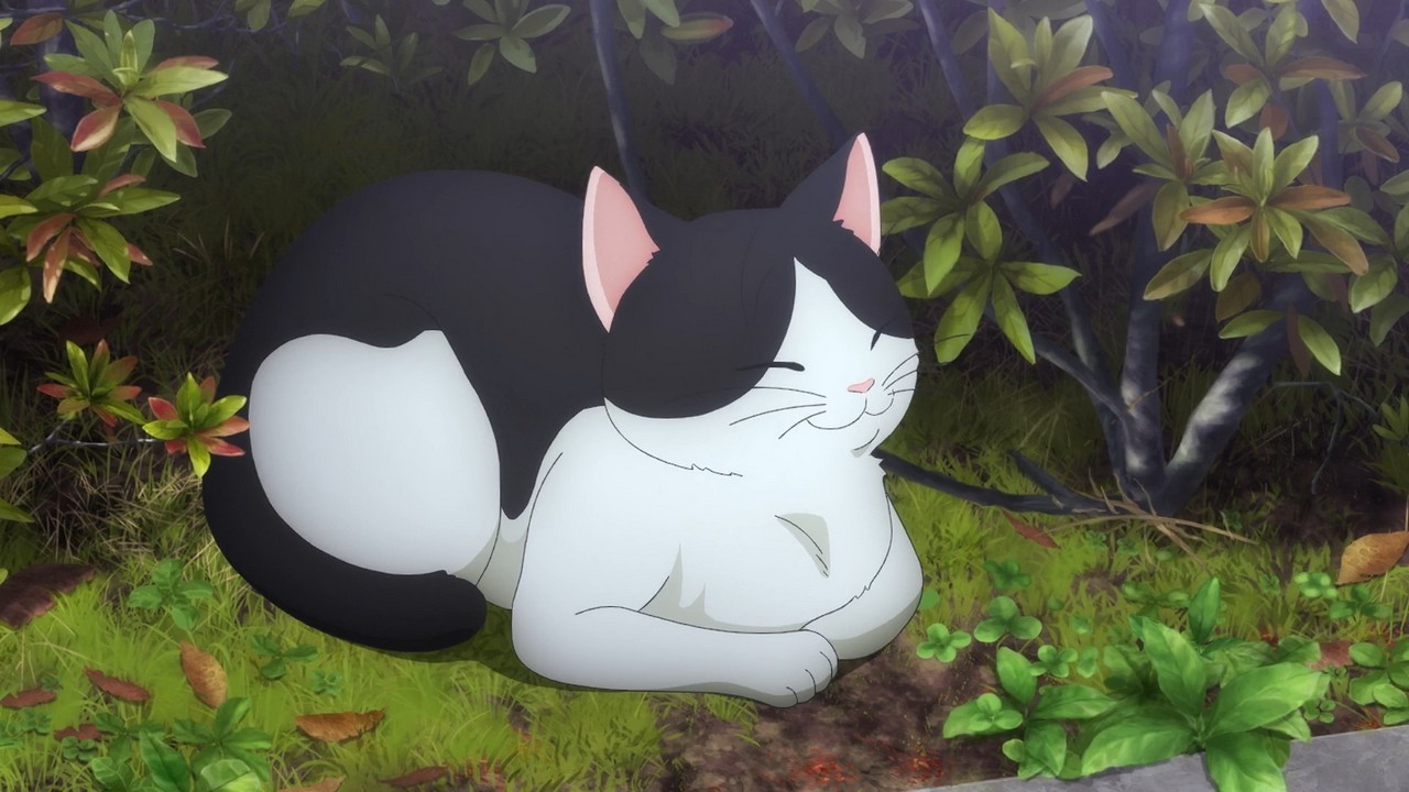 Ура мечте! Фильм: Эпизод о Розелии — II — скриншот 6